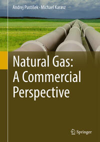 Vorderes Coverbild Natural Gas: A Commercial Perspective