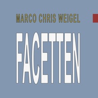 Vorderes Coverbild Facetten
