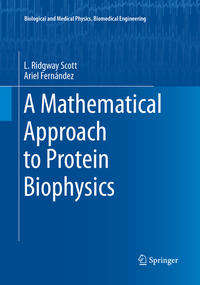 Vorderes Coverbild A Mathematical Approach to Protein Biophysics