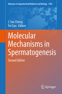 Vorderes Coverbild Molecular Mechanisms in Spermatogenesis