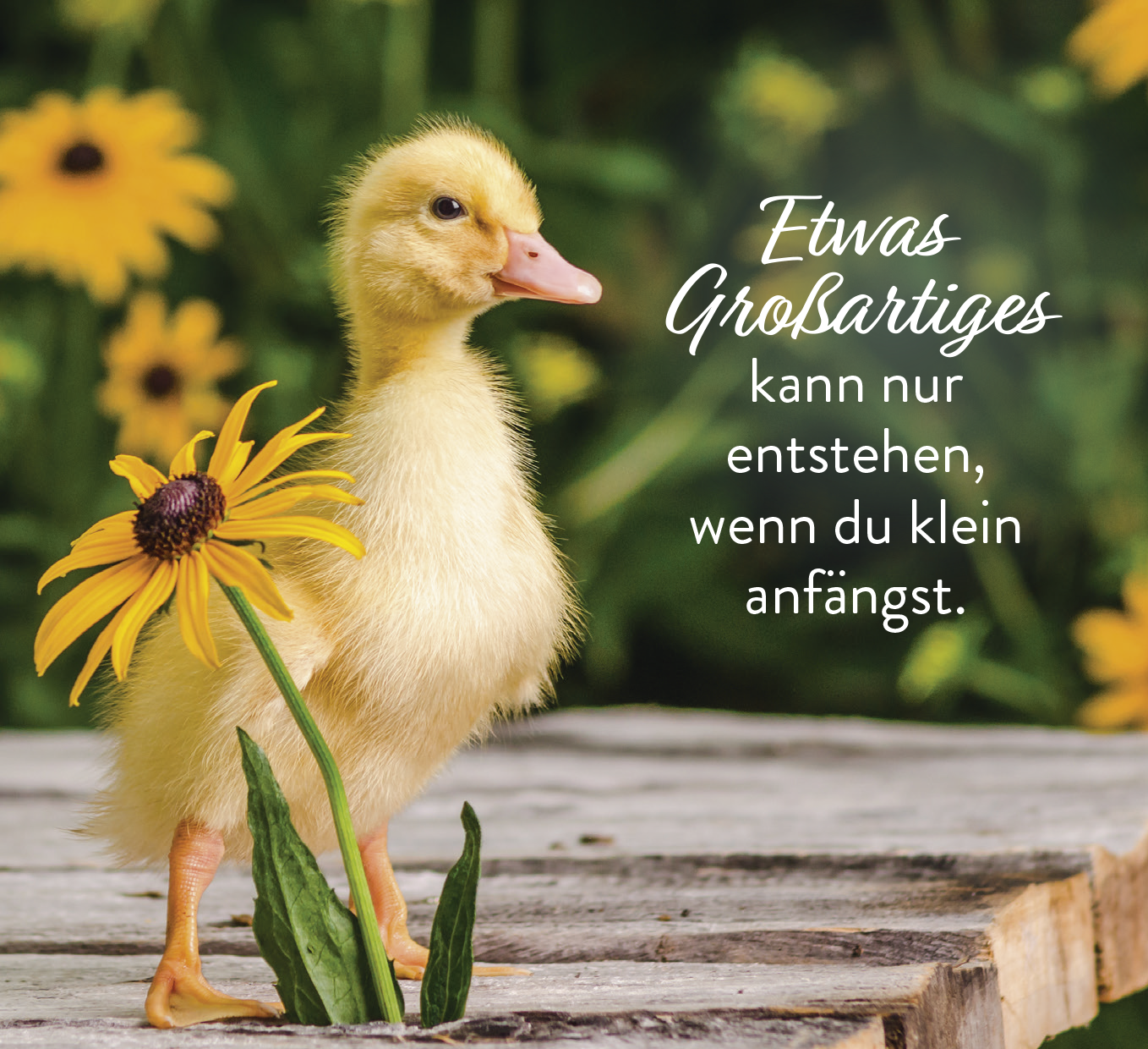 Beispielinhalt (Bild) Kleine Pausen voller Glück