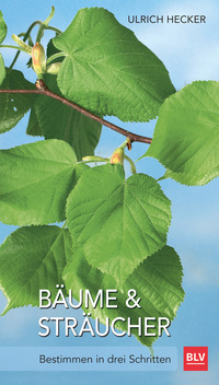 Vorderes Coverbild Bäume und Sträucher