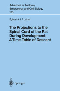 Vorderes Coverbild The Projections to the Spinal Cord of the Rat During Development: A Timetable of Descent