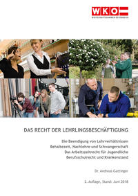 Vorderes Coverbild Das Recht der Lehrlingsbeschäftigung