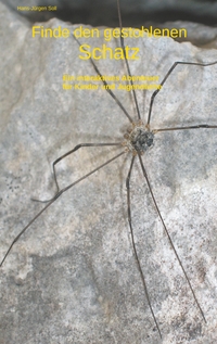 Vorderes Coverbild Finde den gestohlenen Schatz