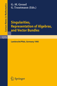 Vorderes Coverbild Singularities, Representation of Algebras, and Vector Bundles