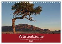 Vorderes Coverbild Wüstenbäume (Wandkalender 2026 DIN A4 quer), CALVENDO Monatskalender