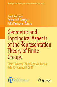 Vorderes Coverbild Geometric and Topological Aspects of the Representation Theory of Finite Groups