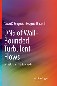 Vorderes Coverbild DNS of Wall-Bounded Turbulent Flows