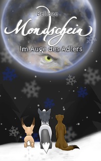 Vorderes Coverbild Mondschein II