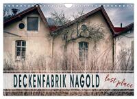 Vorderes Coverbild Deckenfabrik Nagold - lost place (Wandkalender 2025 DIN A4 quer), CALVENDO Monatskalender