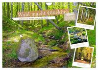 Vorderes Coverbild Wald macht glücklich (Wandkalender 2026 DIN A4 quer), CALVENDO Monatskalender