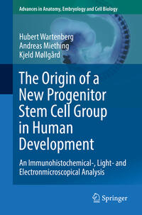 Vorderes Coverbild The Origin of a New Progenitor Stem Cell Group in Human Development