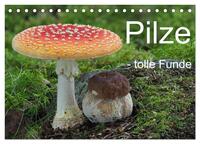 Vorderes Coverbild Pilze - tolle Funde (Tischkalender 2025 DIN A5 quer), CALVENDO Monatskalender