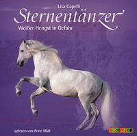 Vorderes Coverbild Sternentänzer (3)