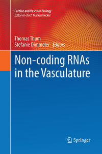 Vorderes Coverbild Non-coding RNAs in the Vasculature