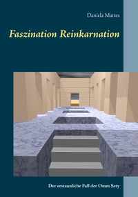 Vorderes Coverbild Faszination Reinkarnation
