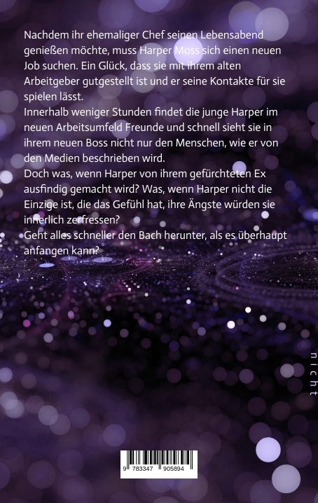 Rückseitencover Mr. Lost in my eyes