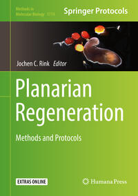 Vorderes Coverbild Planarian Regeneration