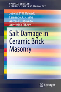 Vorderes Coverbild Salt Damage in Ceramic Brick Masonry