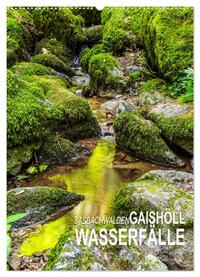 Vorderes Coverbild Sasbachwalden Gaishöll-Wasserfälle (Wandkalender 2025 DIN A2 hoch), CALVENDO Monatskalender