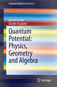 Vorderes Coverbild Quantum Potential: Physics, Geometry and Algebra