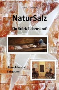 Vorderes Coverbild NaturSalz ein Stück Lebenskraft