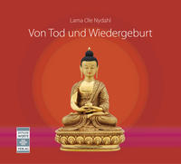 Vorderes Coverbild Von Tod und Wiedergeburt
