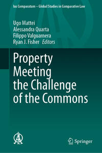 Vorderes Coverbild Property Meeting the Challenge of the Commons