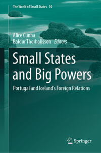 Vorderes Coverbild Small States and Big Powers