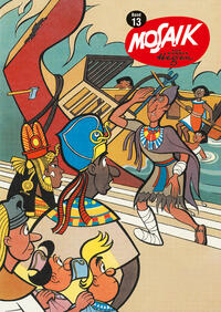 Vorderes Coverbild TaschenMosaik Band 13