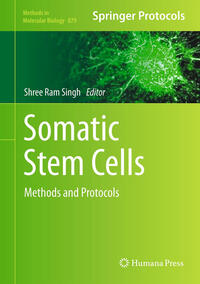 Vorderes Coverbild Somatic Stem Cells