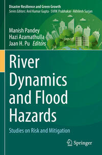 Vorderes Coverbild River Dynamics and Flood Hazards