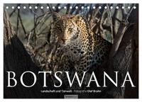Vorderes Coverbild Botswana – Landschaft und Tierwelt (Tischkalender 2025 DIN A5 quer), CALVENDO Monatskalender