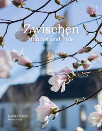 Vorderes Coverbild Zwischen Himmel und Erde