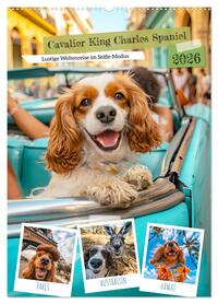 Vorderes Coverbild Cavalier King Charles Spaniel - Lustige Weltenreise im Selfie-Modus (Wandkalender 2026 DIN A2 hoch), CALVENDO Monatskalender