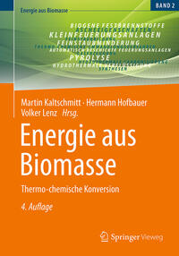 Vorderes Coverbild Energie aus Biomasse
