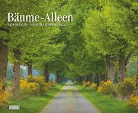 Vorderes Coverbild DUMONT - Bäume – Alleen 2025 Wandkalender 52x42,5cm, Kalender mit prachtvollen Bäumen angeordnet in Alleen, Großformat mit Spiralbindung