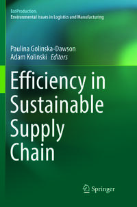 Vorderes Coverbild Efficiency in Sustainable Supply Chain