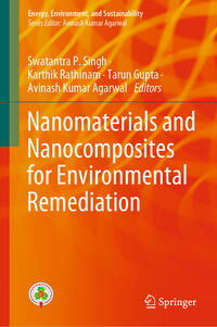 Vorderes Coverbild Nanomaterials and Nanocomposites for Environmental Remediation