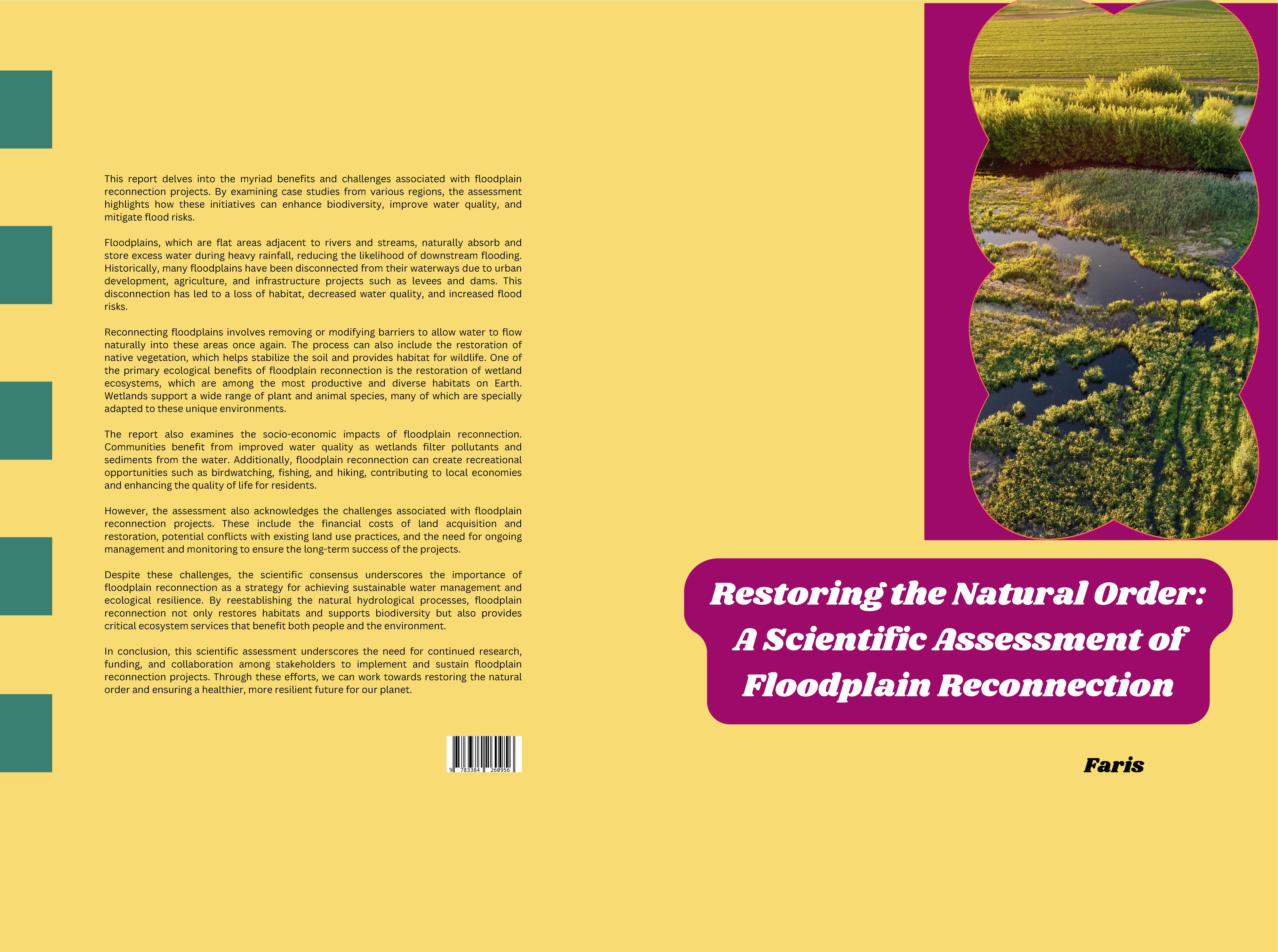 Gesamtes Coverbild Restoring the Natural Order: A Scientific Assessment of Floodplain Reconnection