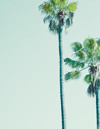 Vorderes Coverbild Los Angeles