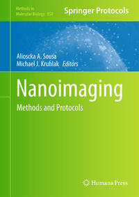 Vorderes Coverbild Nanoimaging