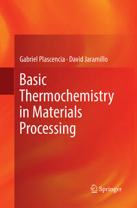Vorderes Coverbild Basic Thermochemistry in Materials Processing
