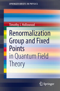 Vorderes Coverbild Renormalization Group and Fixed Points