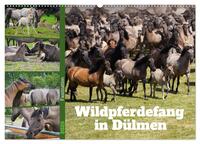 Vorderes Coverbild Faszination Wildpferdefang in Dülmen (Wandkalender 2025 DIN A2 quer), CALVENDO Monatskalender