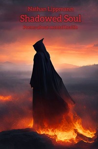 Vorderes Coverbild Shadowed Soul