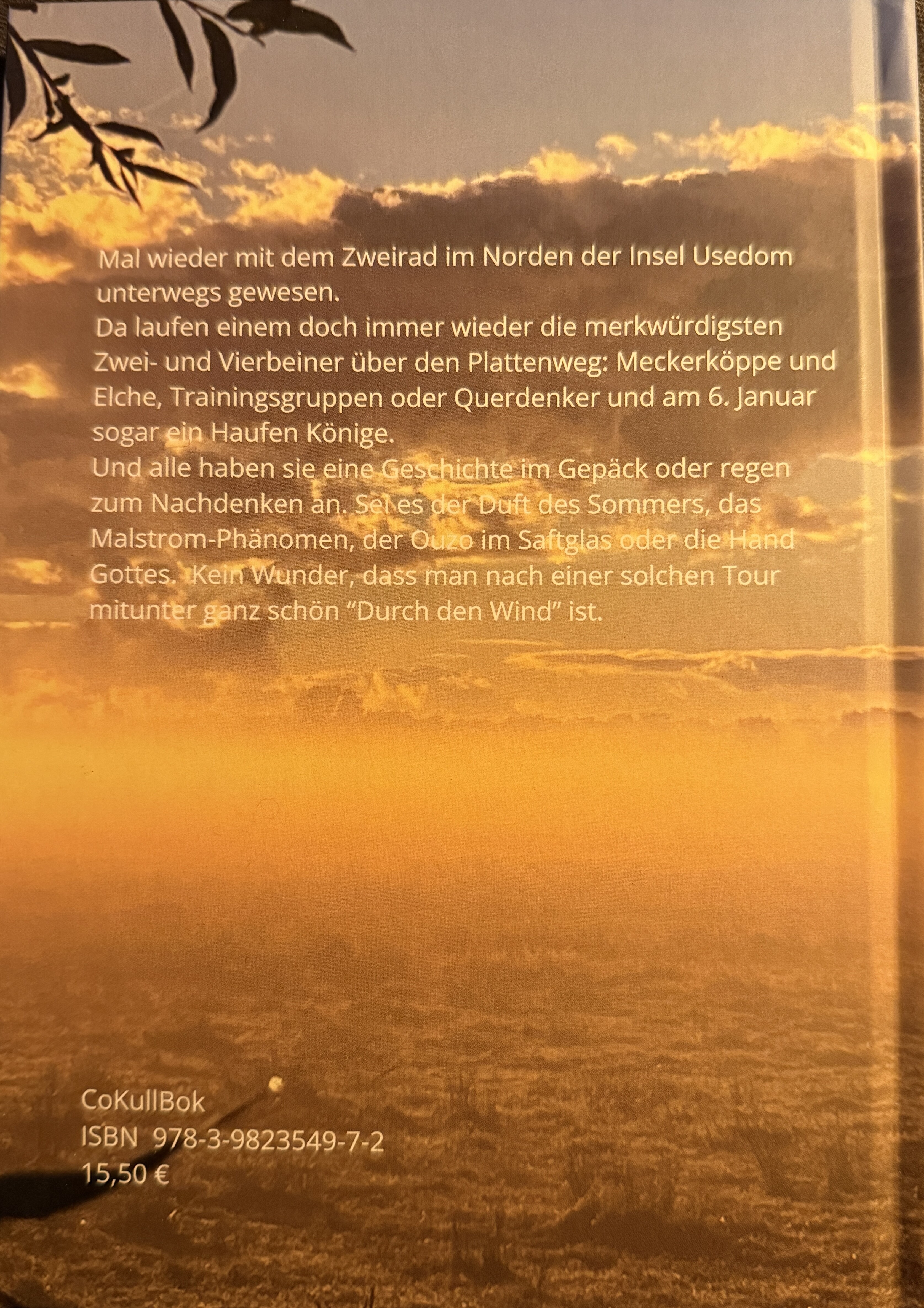 Rückseitencover Durch den Wind