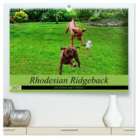 Vorderes Coverbild Rhodesian Ridgeback ein Clown auf 4 Pfoten (hochwertiger Premium Wandkalender 2025 DIN A2 quer), Kunstdruck in Hochglanz
