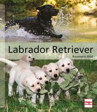 Vorderes Coverbild Labrador Retriever